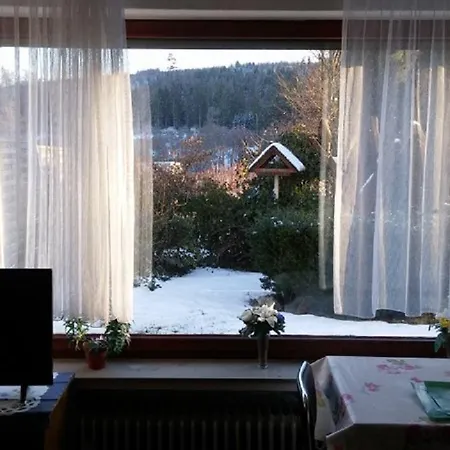 Apartamento Ferienimhochsauerland