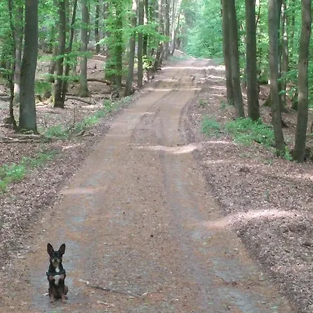 Ferienimhochsauerland