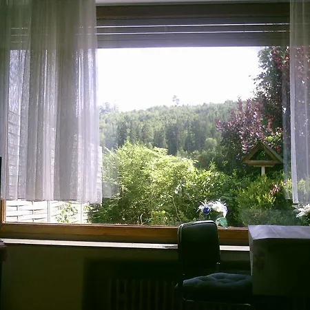 Apartamento Ferienimhochsauerland *